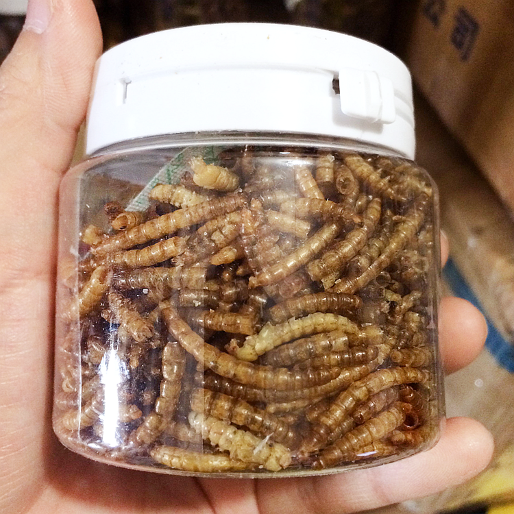 Dried Yellow Mealworm Pet Food Chicken Food Brid Food